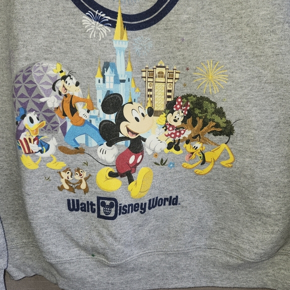 Disney Parks Walt Disney World 2019 Sweatshirt - Picture 2 of 5